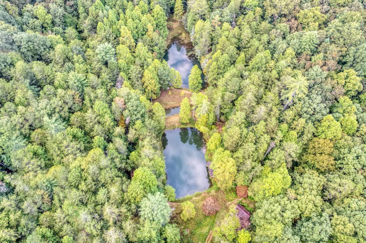 Creekfront 30-Acre Retreat • Hot Tub & Firepit #50