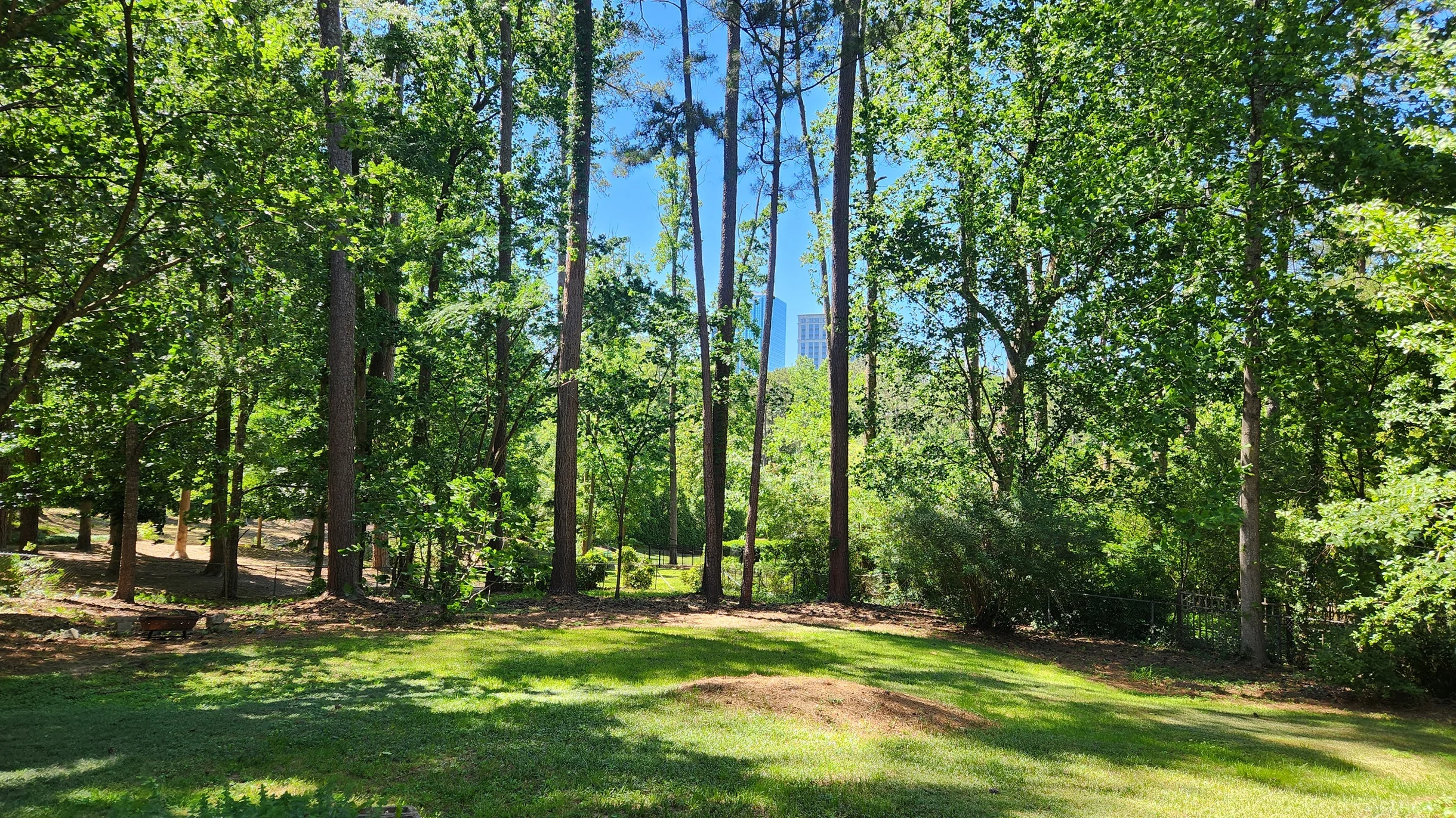 Home in Atlanta property photo 3