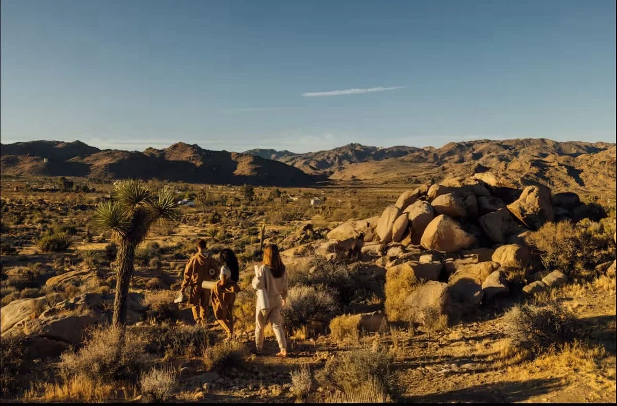 Wander Joshua Tree Manor #78