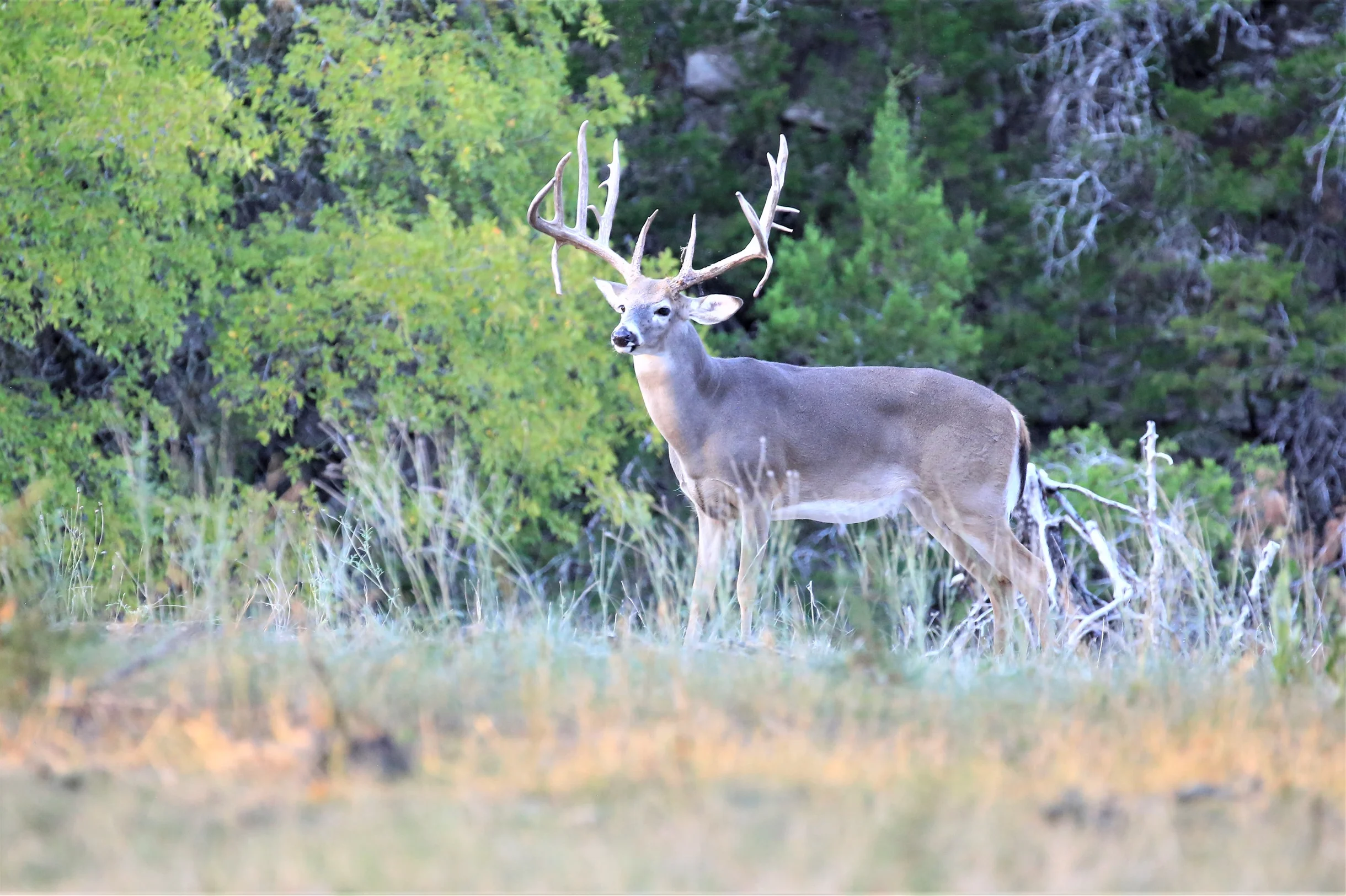 TX Retreat @ 6S River Ranch #6