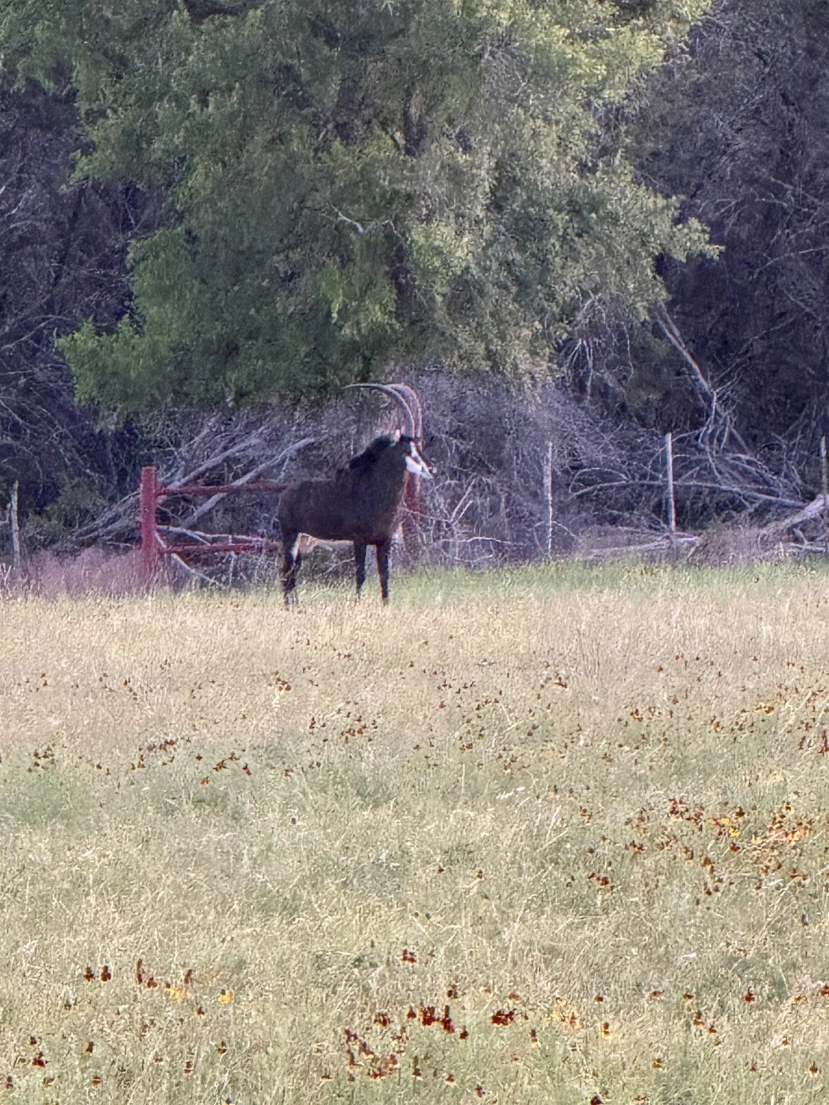 TX Retreat @ 6S River Ranch #64