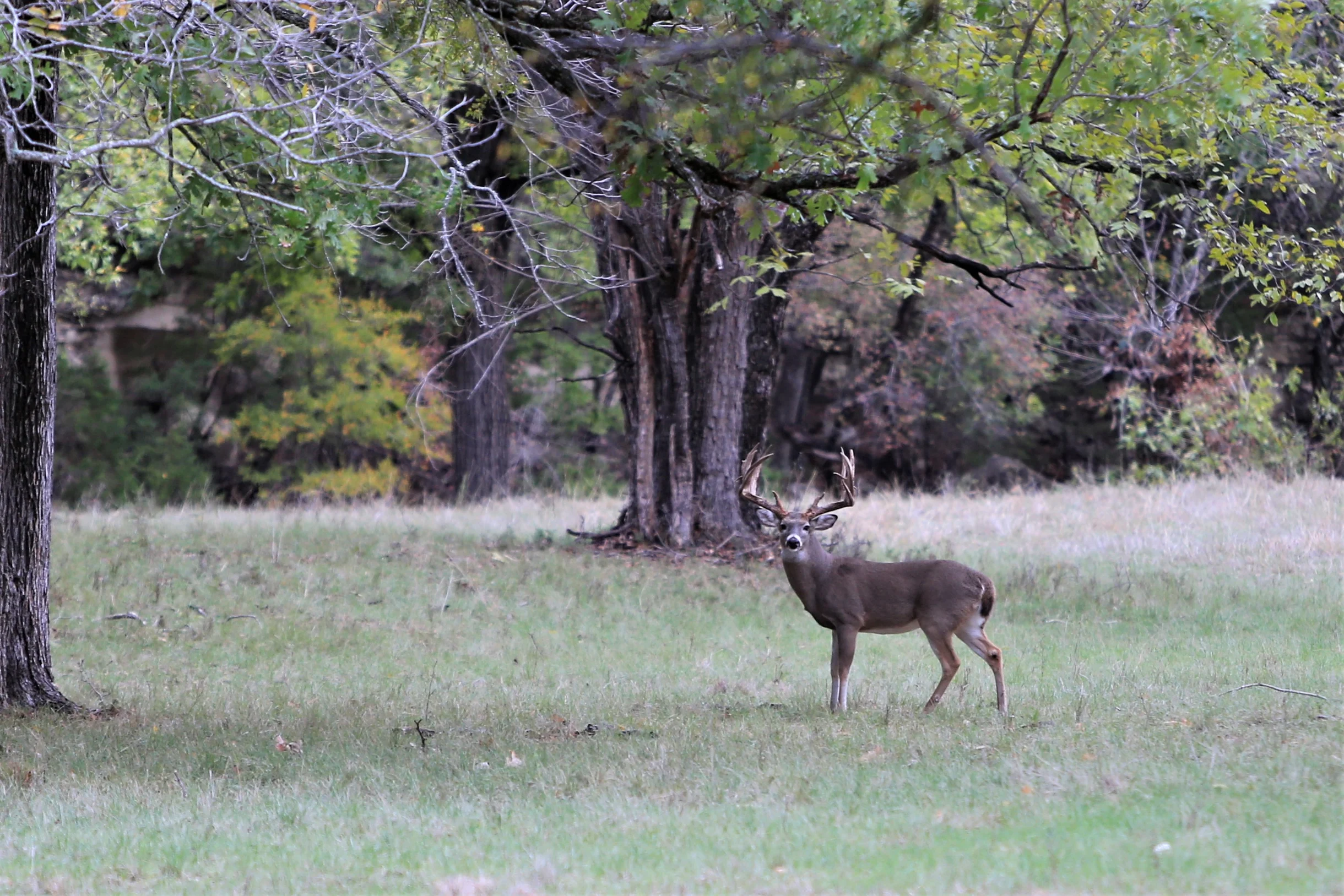 TX Retreat @ 6S River Ranch #20