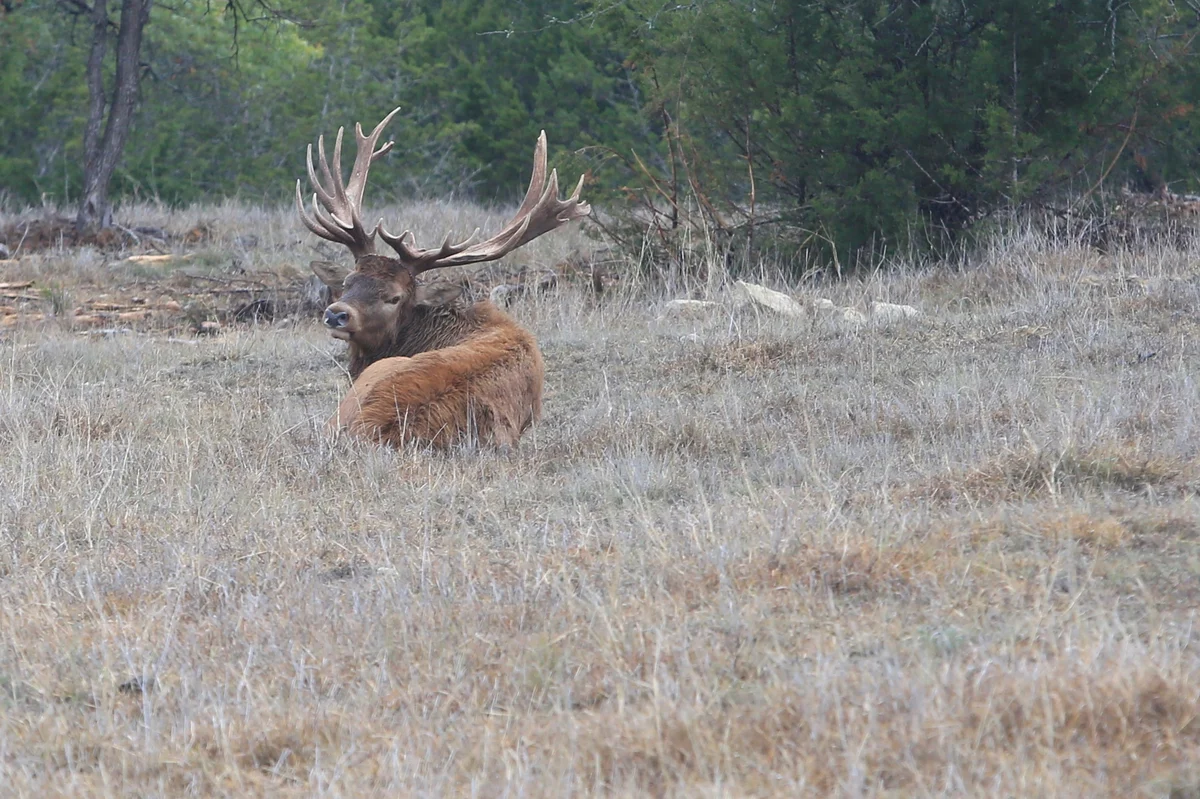TX Retreat @ 6S River Ranch #94
