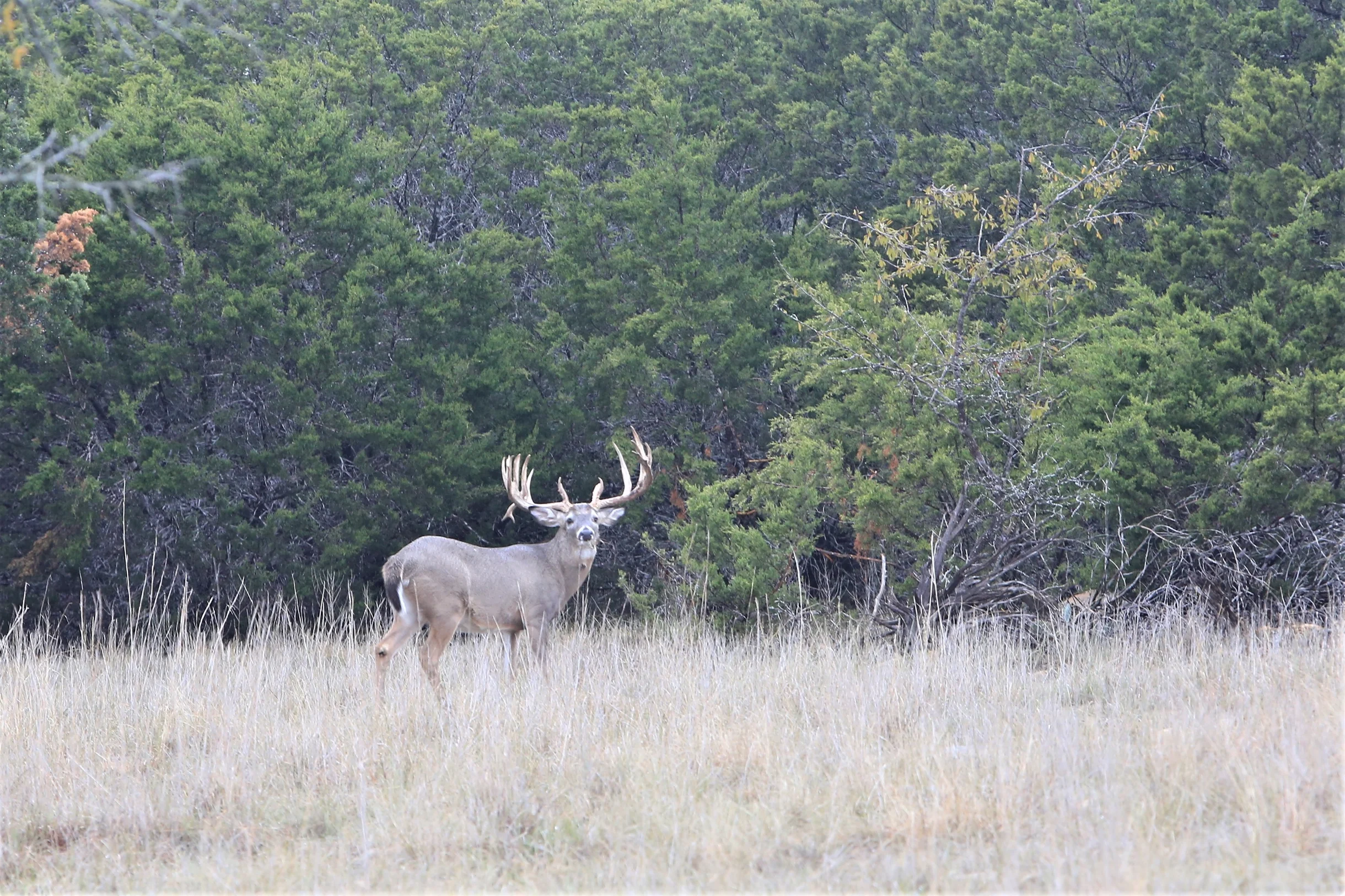 TX Retreat @ 6S River Ranch #80