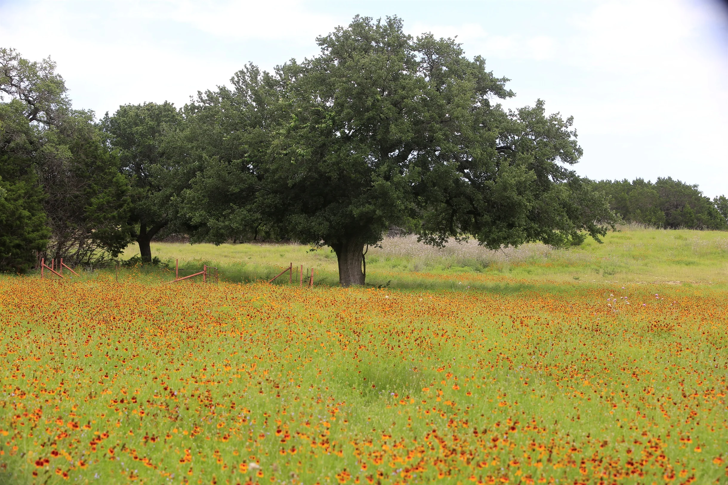 TX Retreat @ 6S River Ranch #105