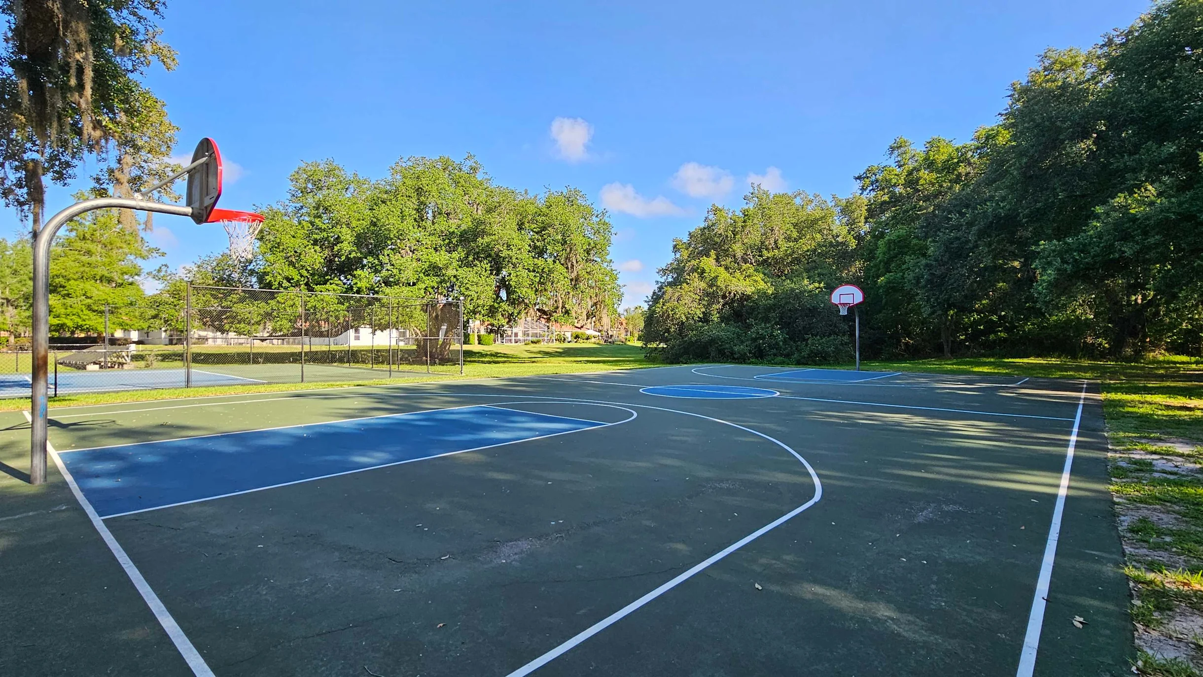 2939 Casabella #41