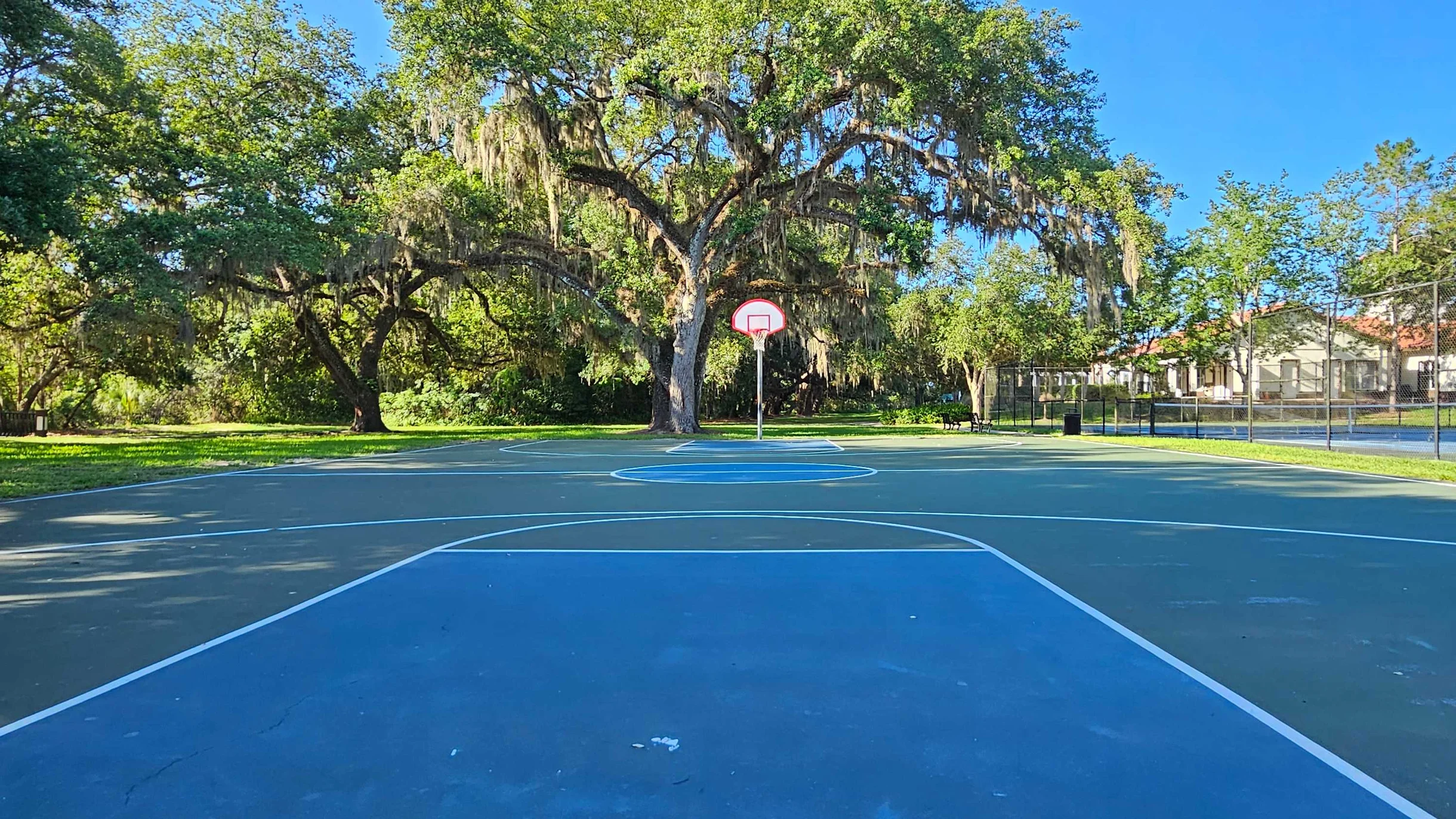 2939 Casabella #47