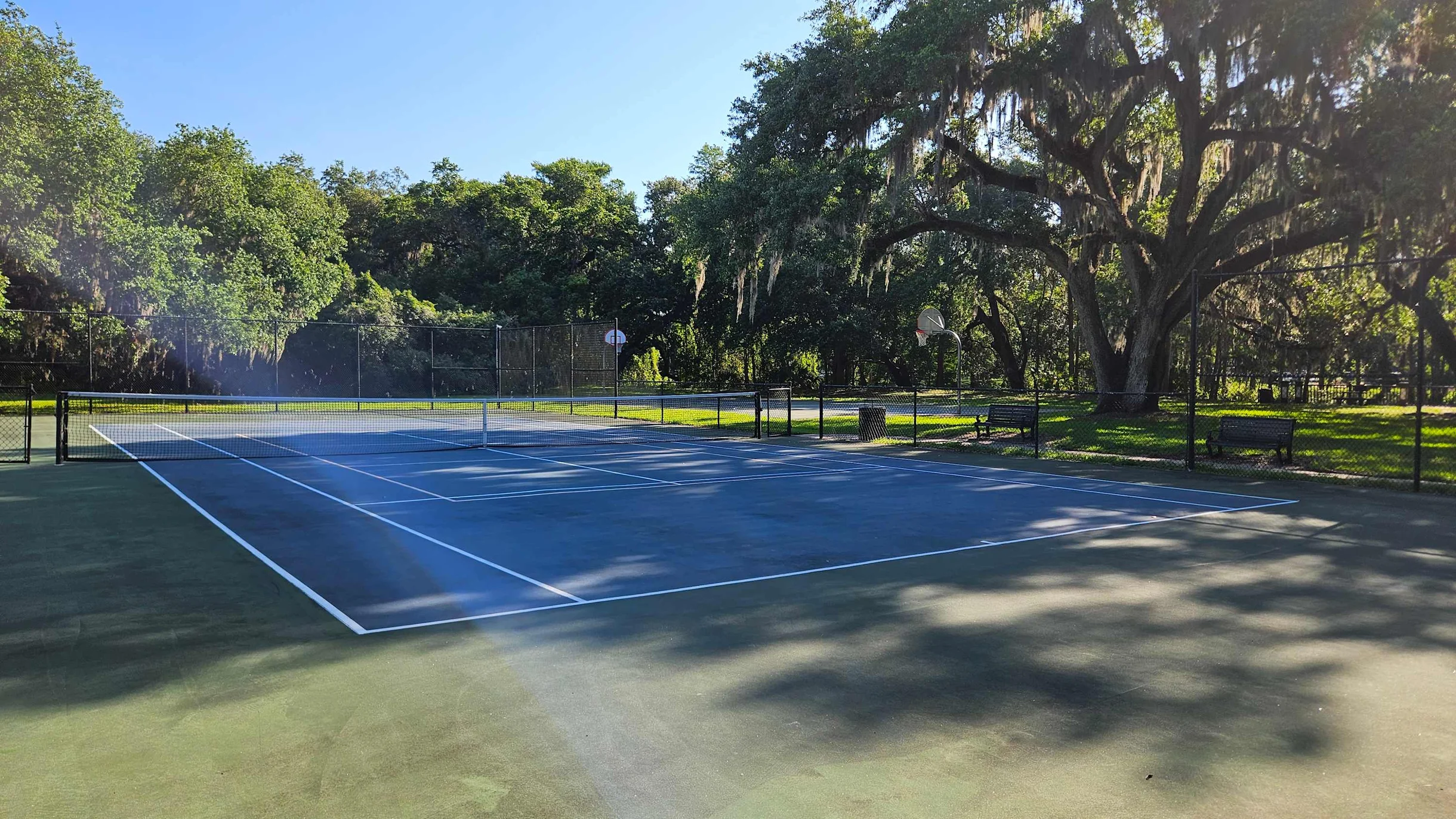 2939 Casabella #75