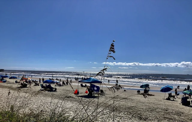 Oceanview Condos 301 - Crescent Moon #19