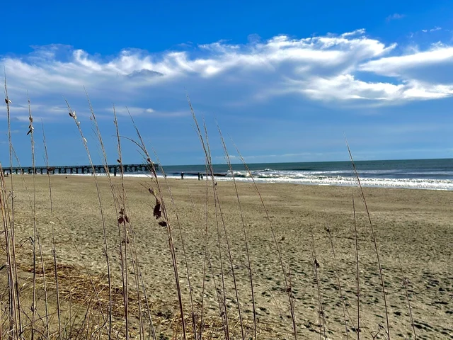 Sea Cabins 208A - Fancy Like - Luxury Oceanfront Condo #31