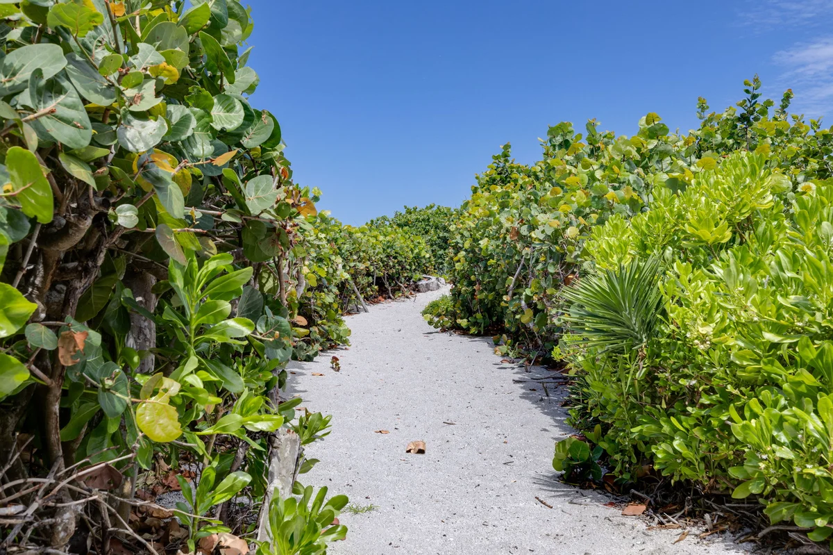 Wander Captiva Bayfront #54