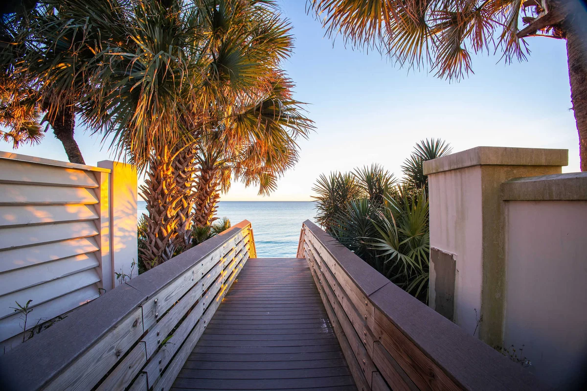 Salted Palmetto #4