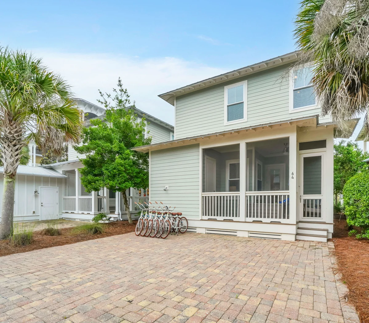 Salted Palmetto #55