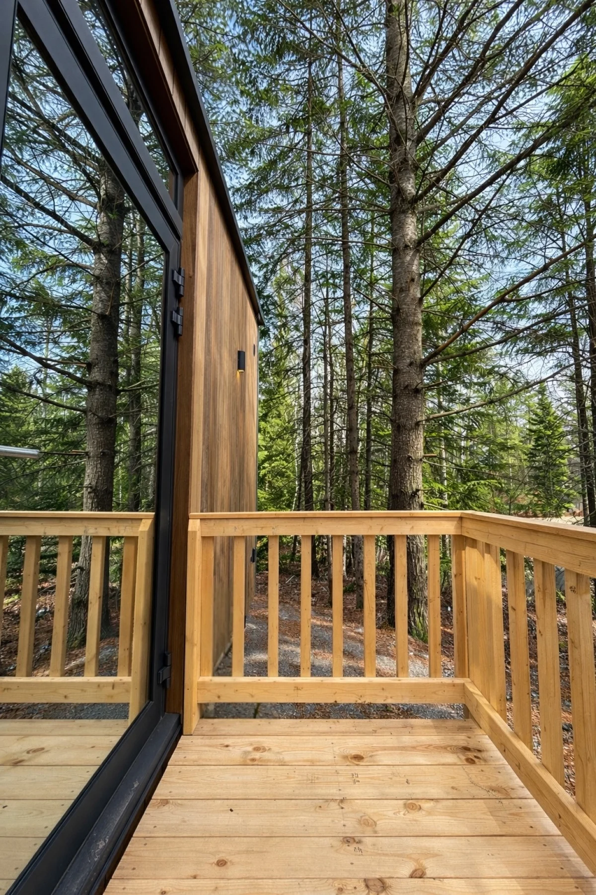 Balsam Fir House at FarAway Pond #2