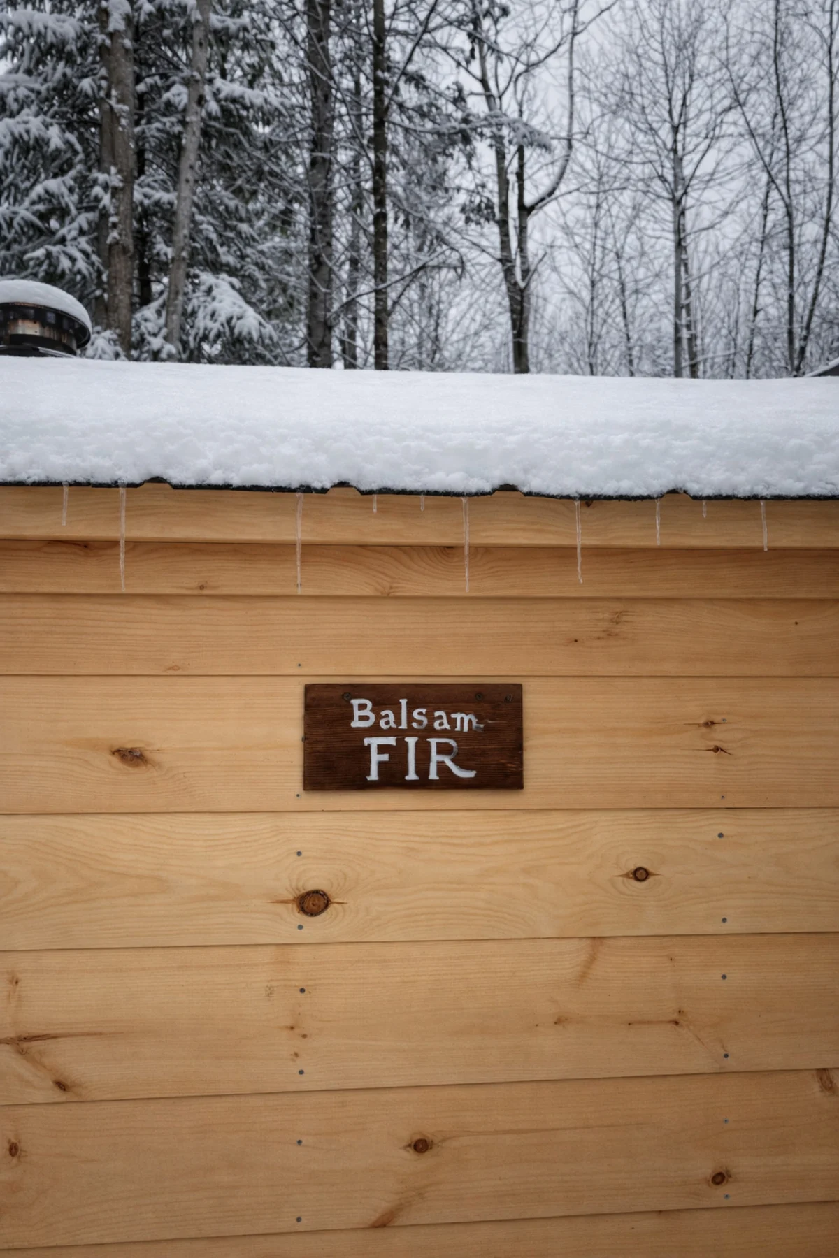 Balsam Fir House at FarAway Pond #32