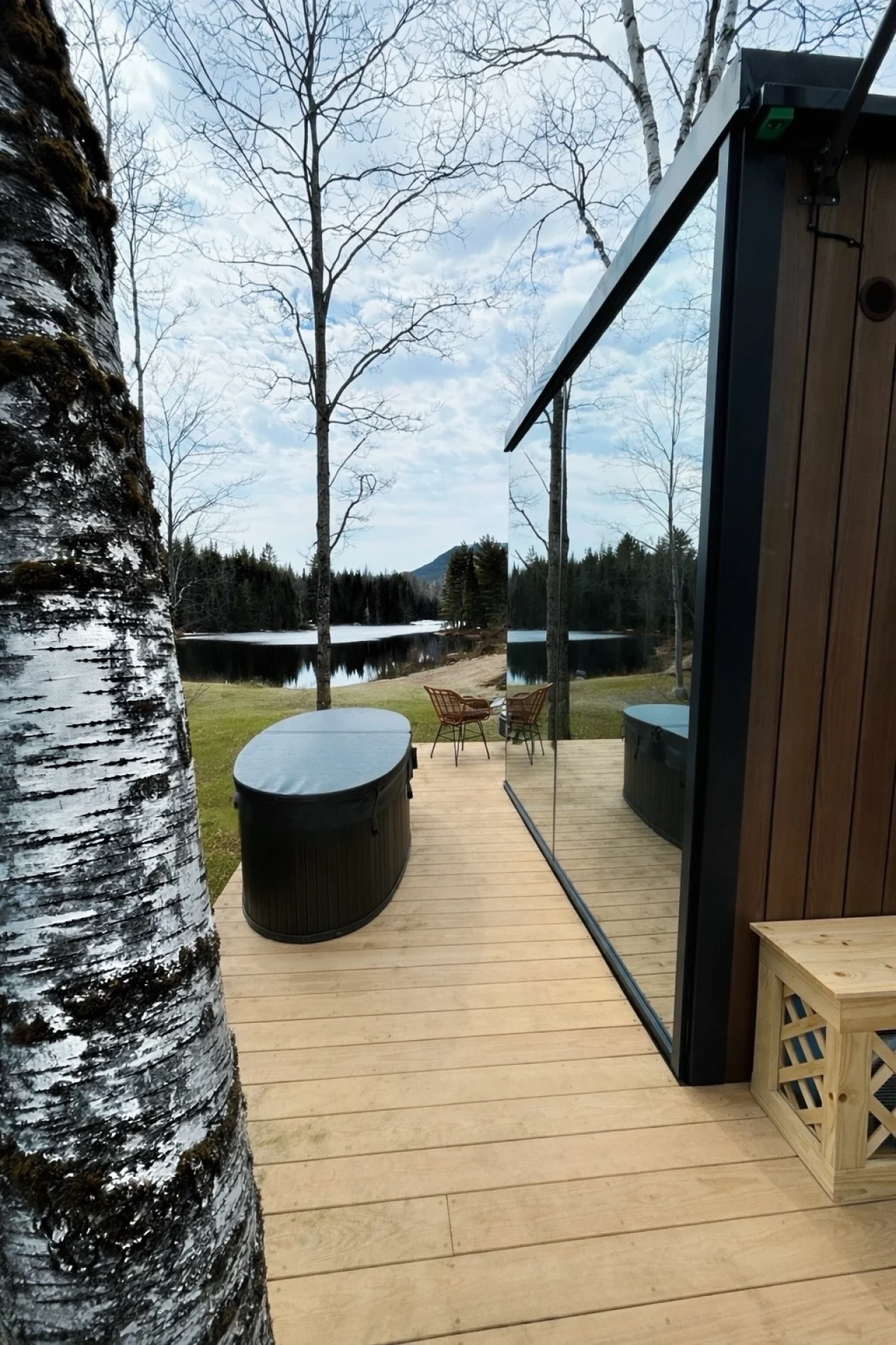 Birch Mirror House at FarAway Pond #7