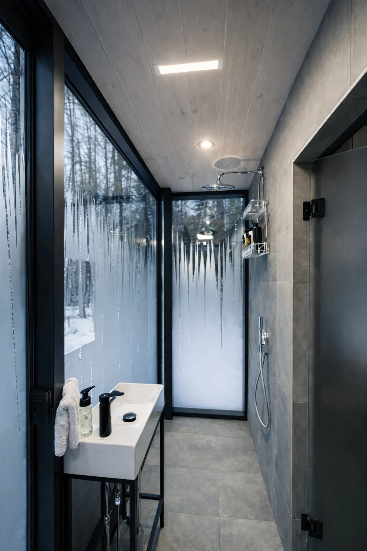 Birch Mirror House at FarAway Pond #18