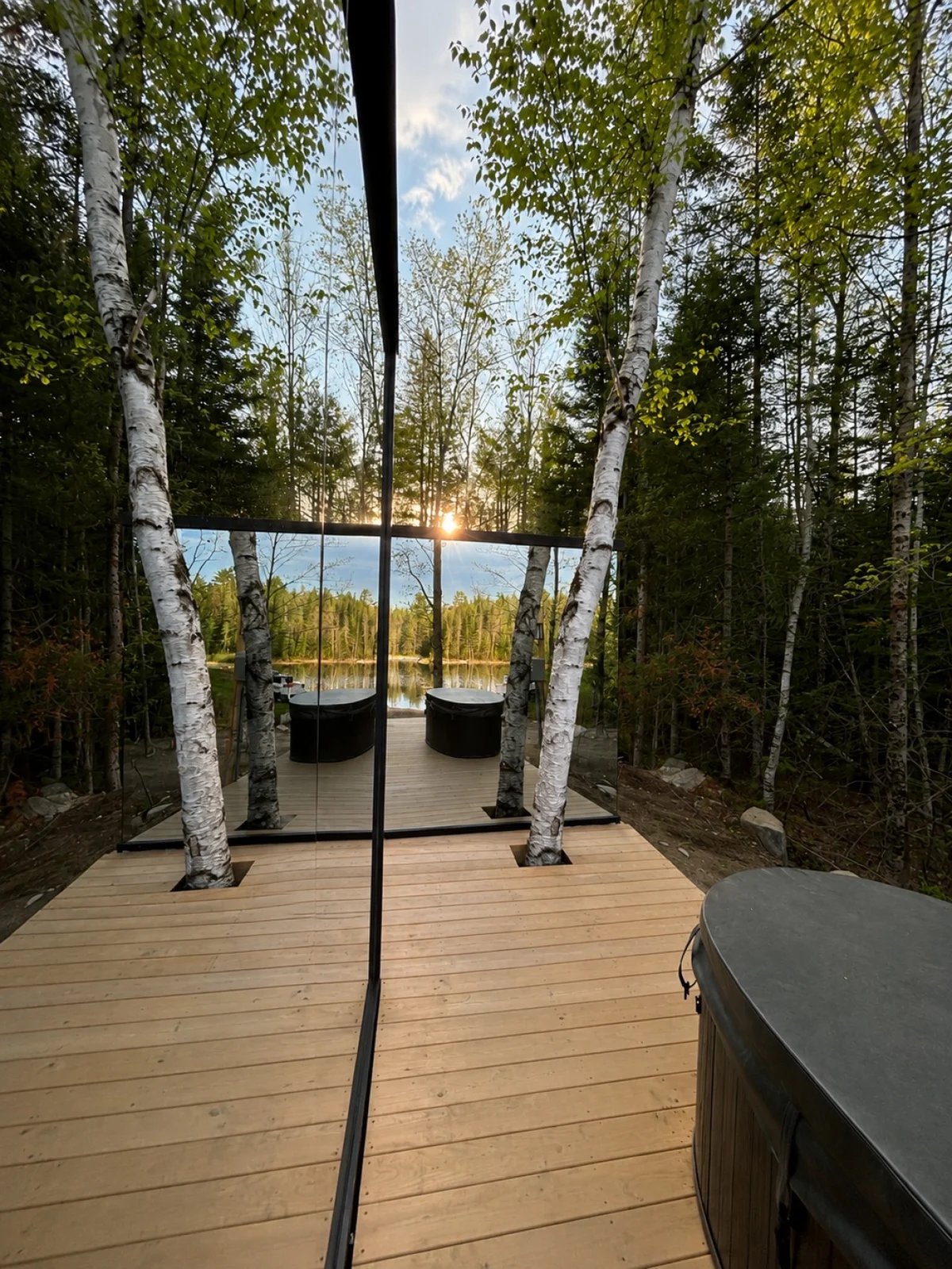 Birch Mirror House at FarAway Pond #26