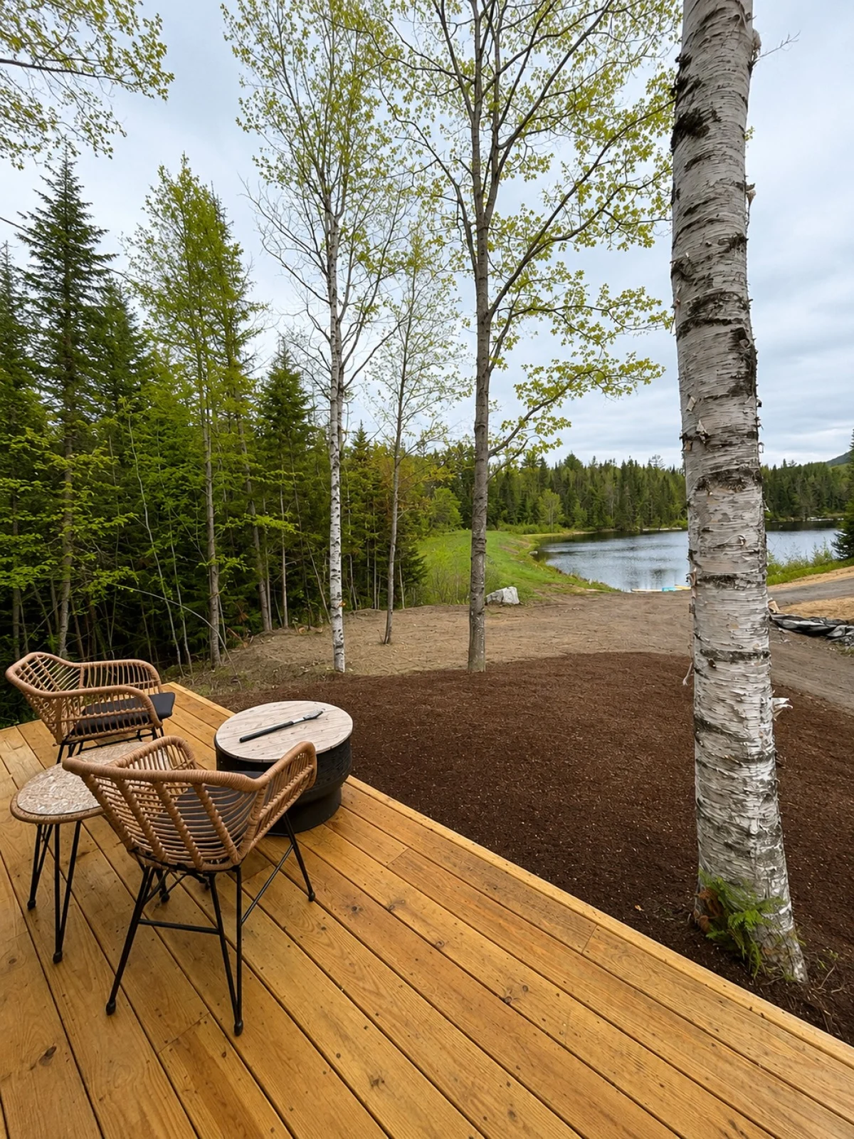 Birch Mirror House at FarAway Pond #33