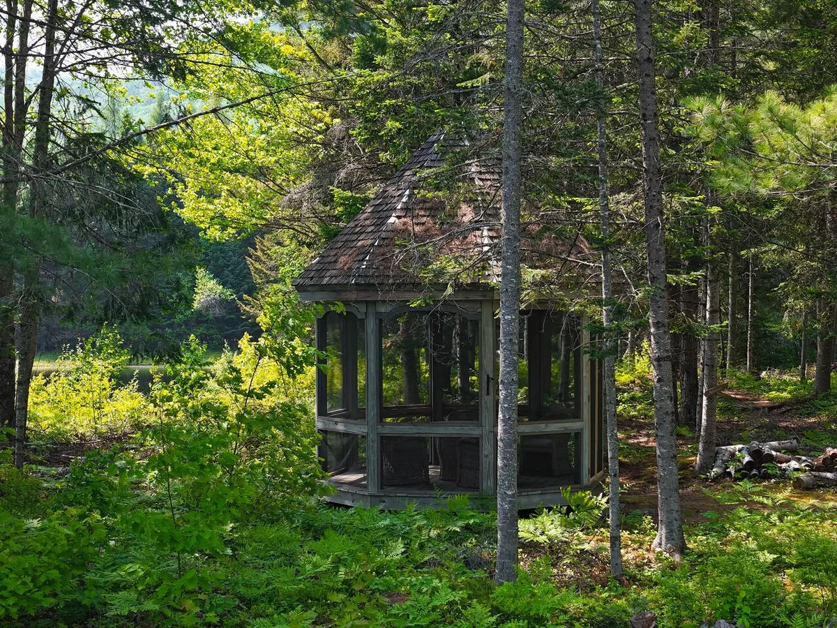 Birch Mirror House at FarAway Pond #38