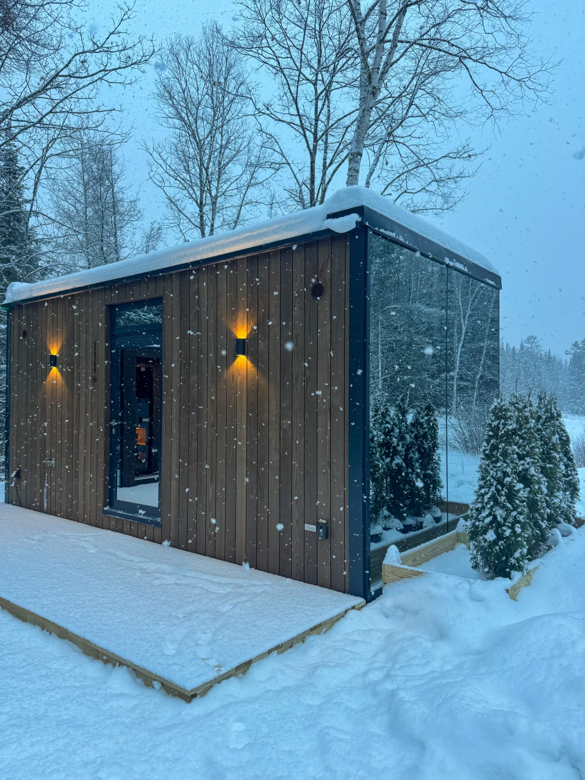 Birch Mirror House at FarAway Pond #41