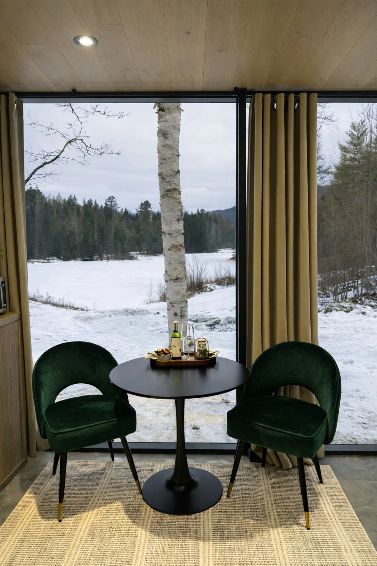Birch Mirror House at FarAway Pond #19