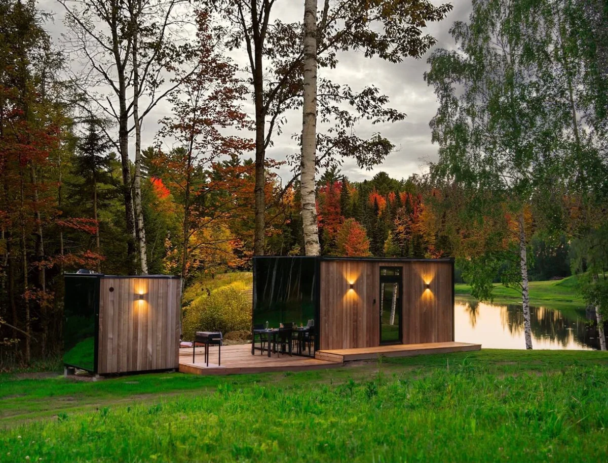 Birch Mirror House at FarAway Pond #44