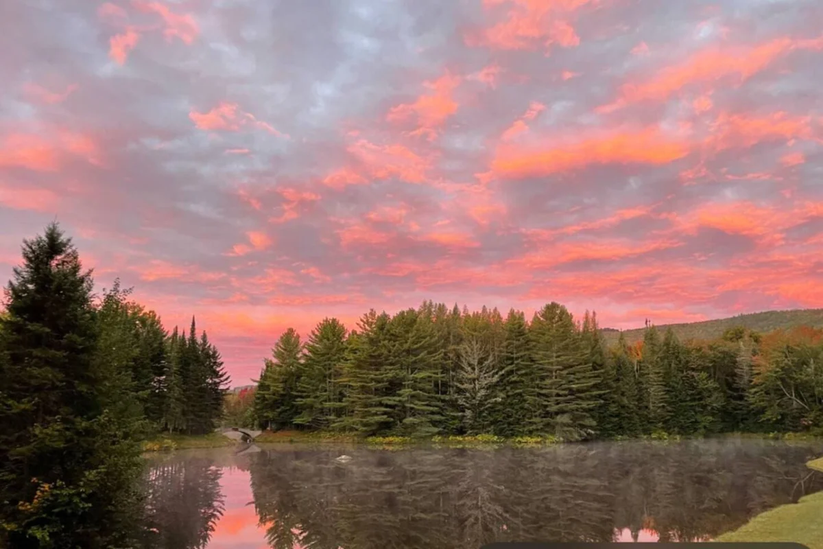 Birch Mirror House at FarAway Pond #51