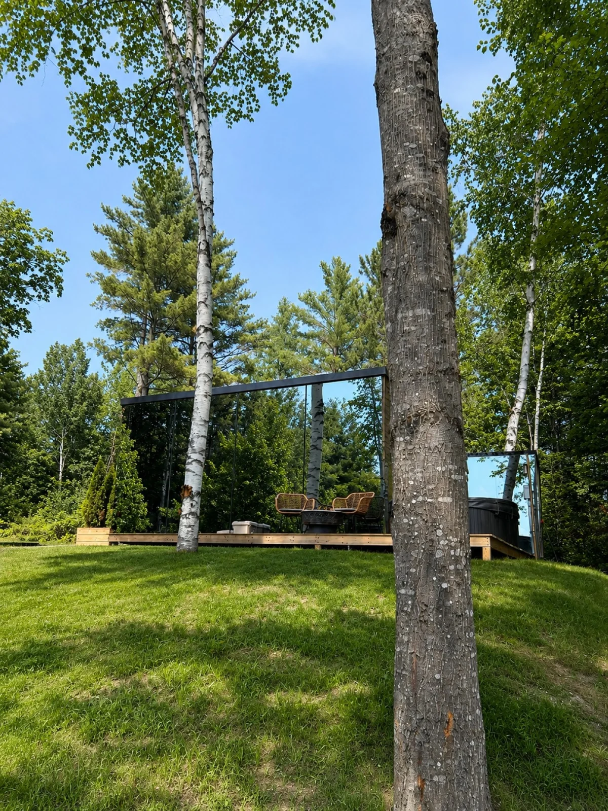 Birch Mirror House at FarAway Pond #45