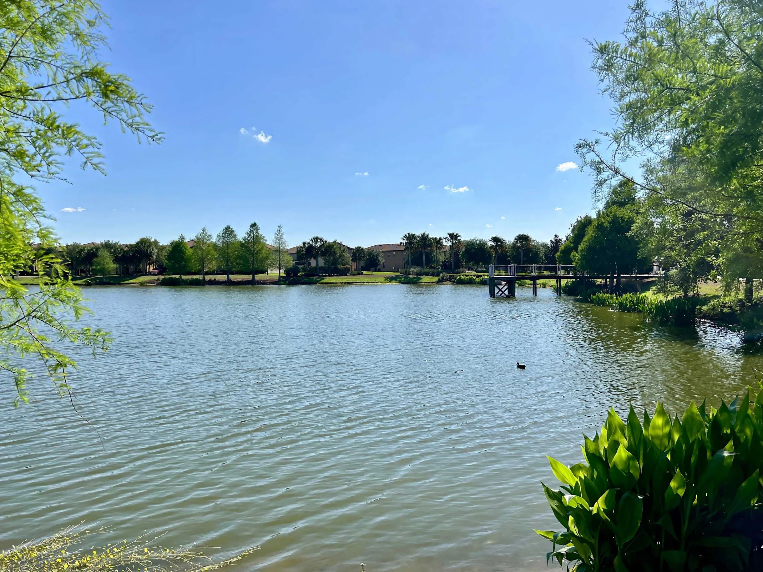 Pool Privacy! Value! Resort 6 mi 2 Disney! 1893 #74