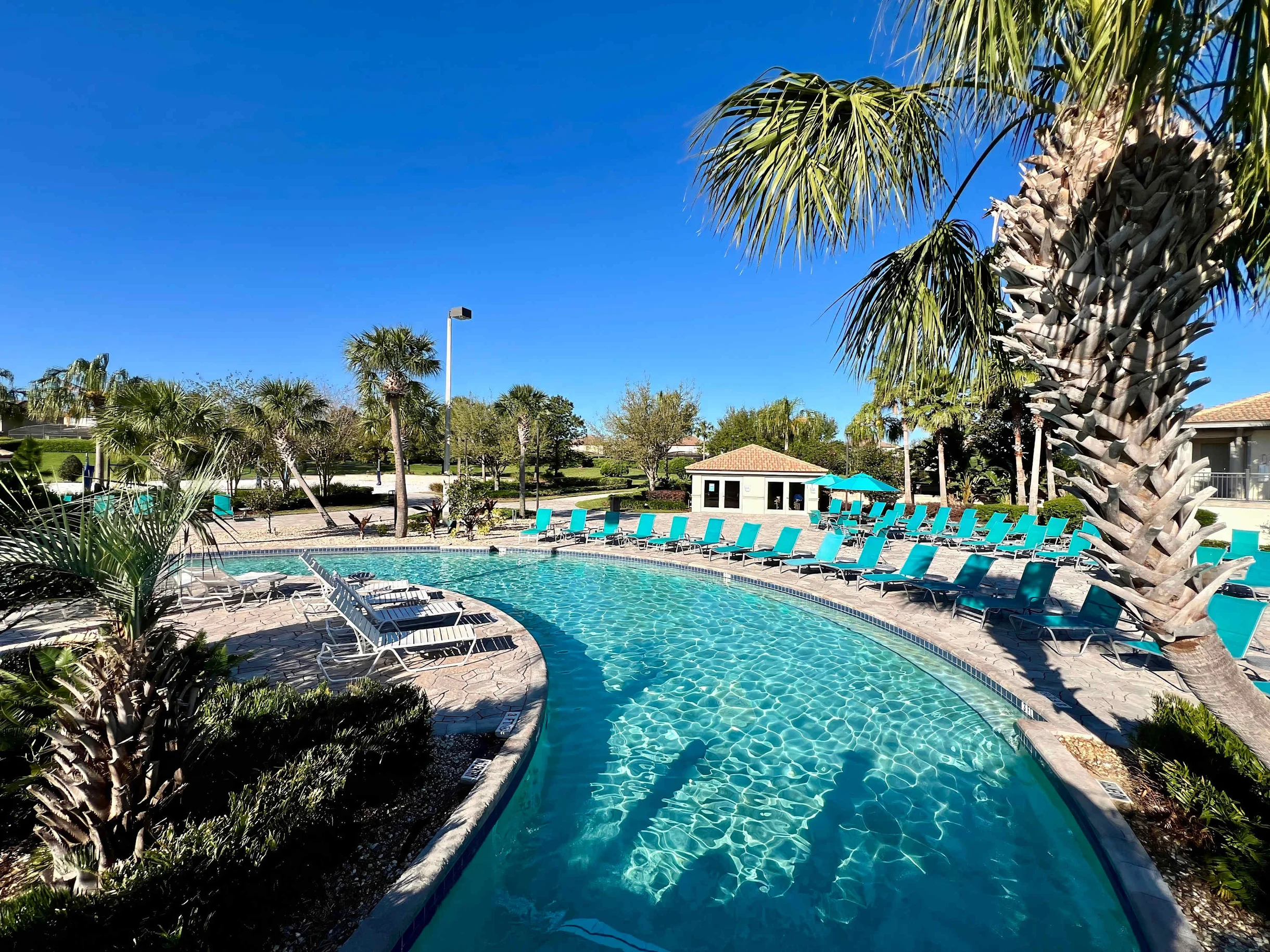 Champions Gate-11575 8BR · Pool· Themed  Disney #56