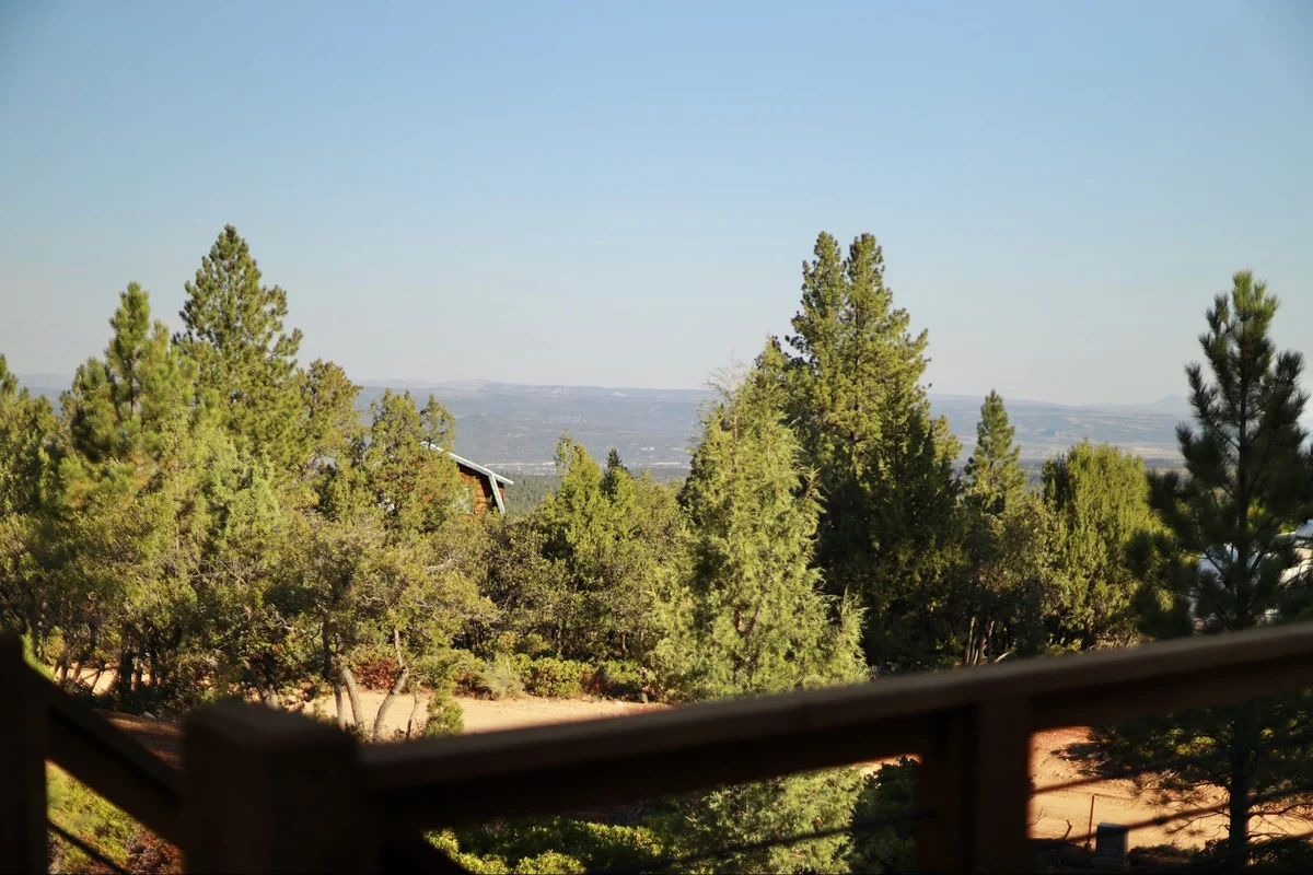 Black Copper Cabin #69