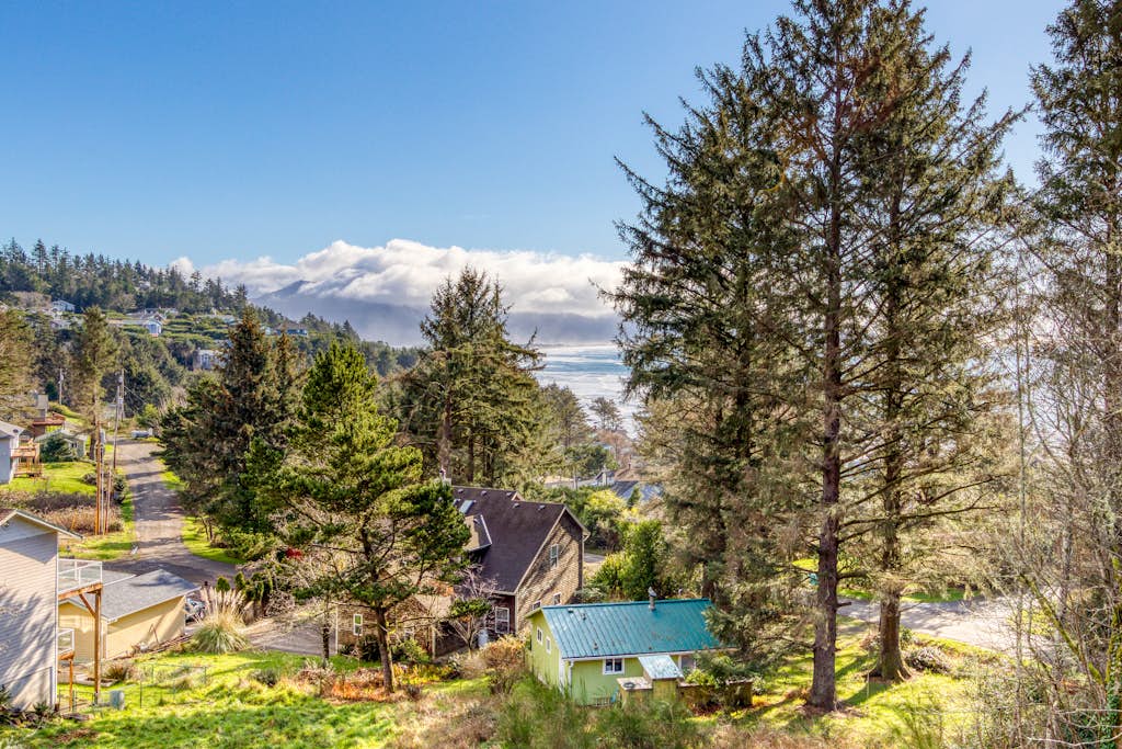 Contemporary built dog friendly house with partial ocean views property photo 2