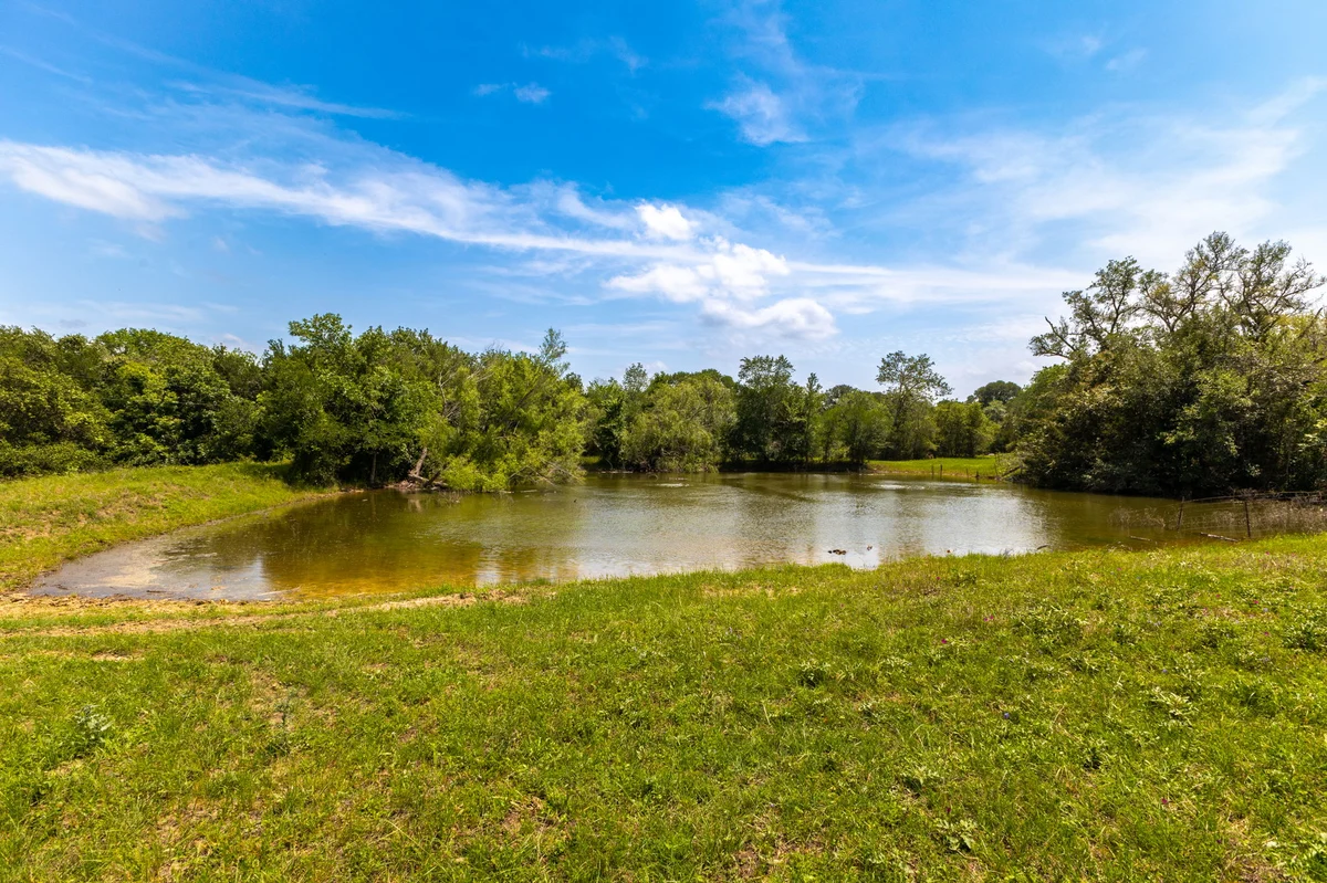 Schulenburg Ranch Retreat #14