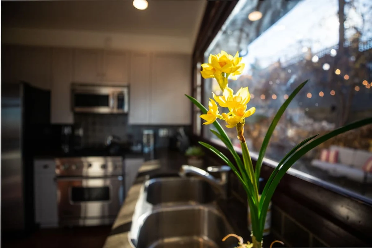 Home in Salt Lake City property photo 4