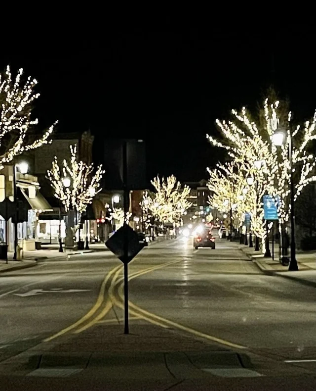 Charming Historic Upper Walk to Downtown & Lakes #58
