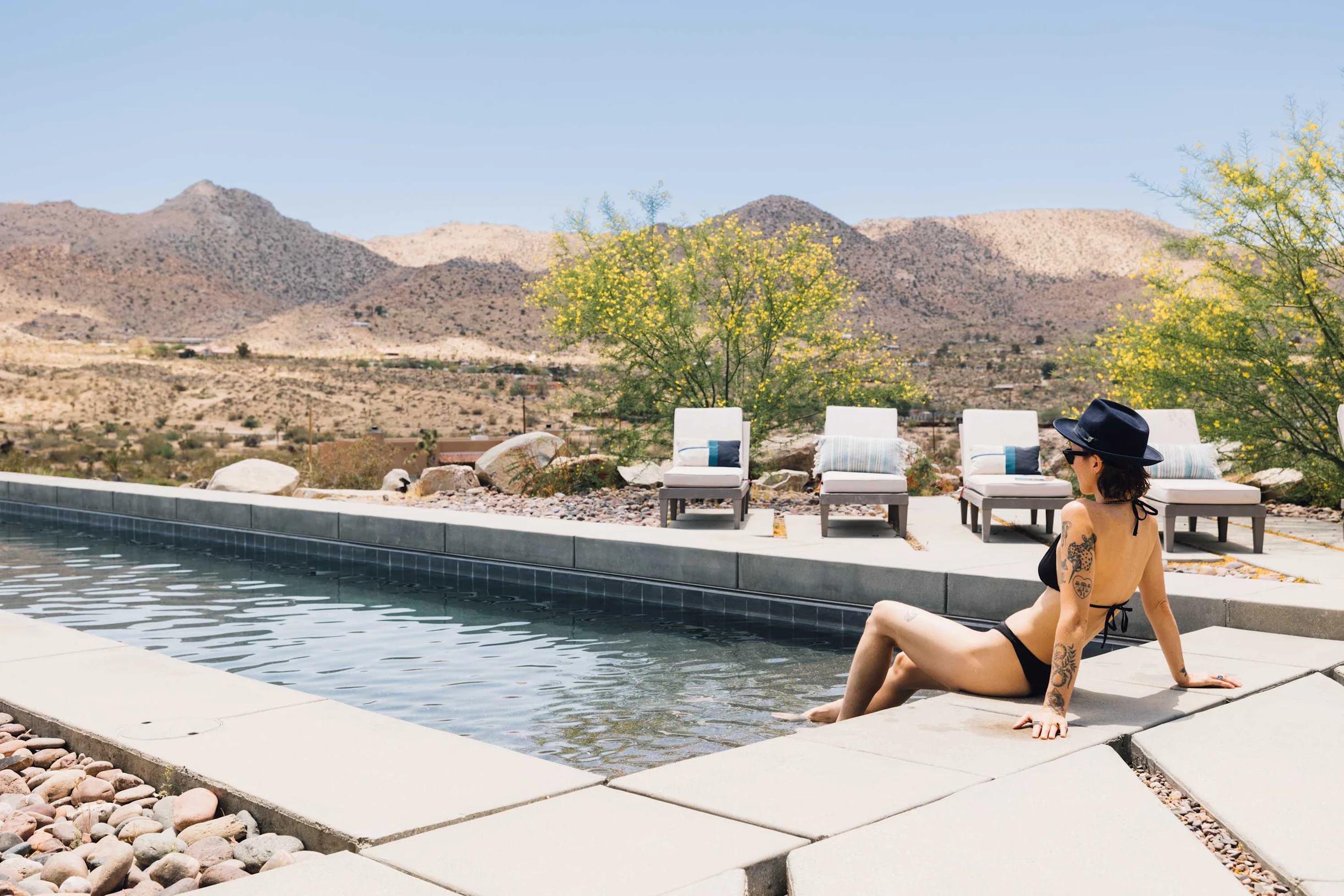 Wander Joshua Tree Horizon #158