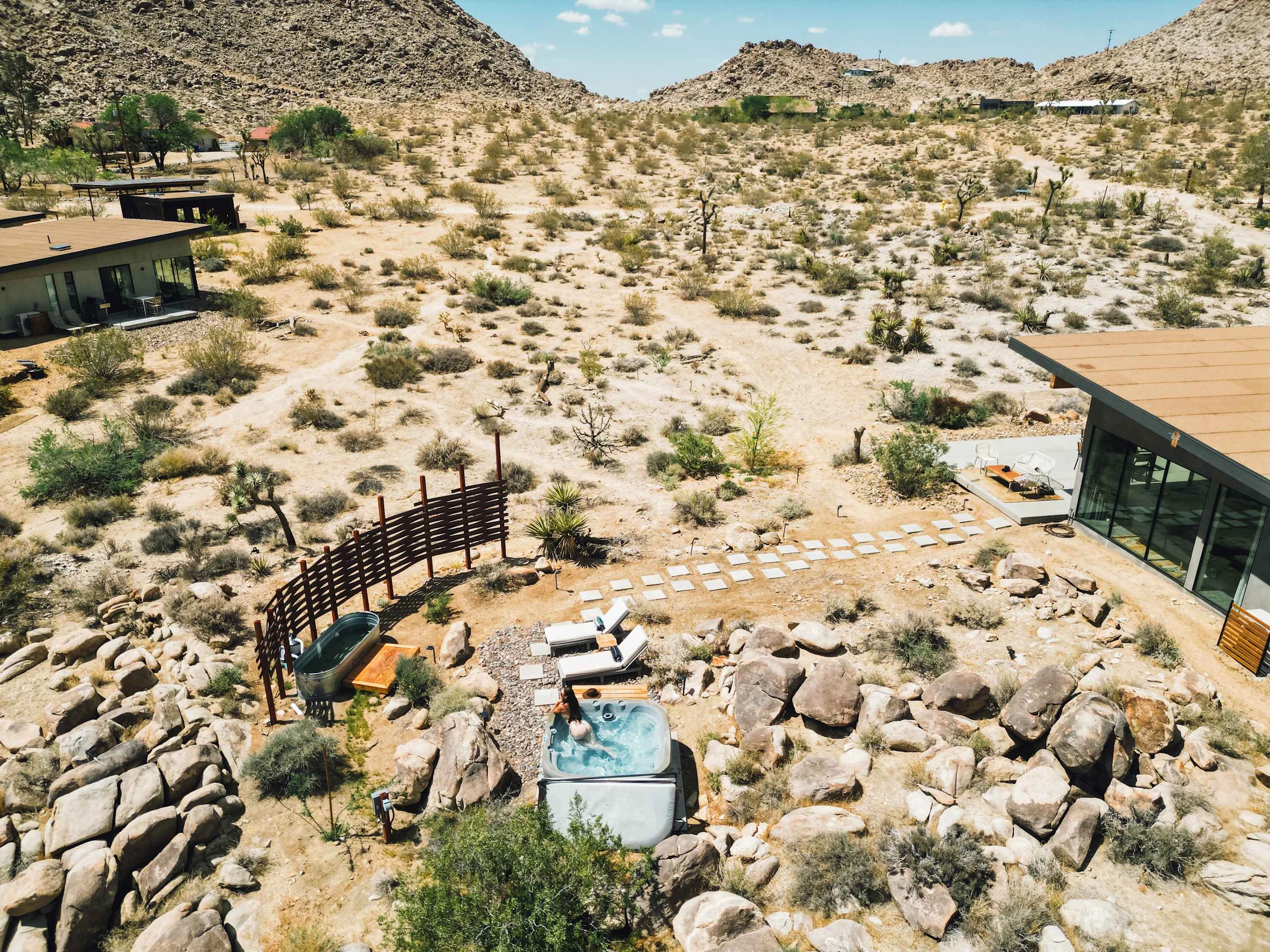 Wander Joshua Tree Horizon #178