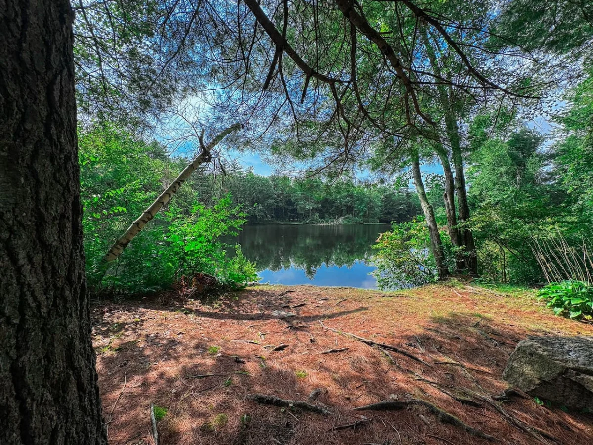 1826 Conway Renovated Church | 5 Bdrm, Pond Access #4