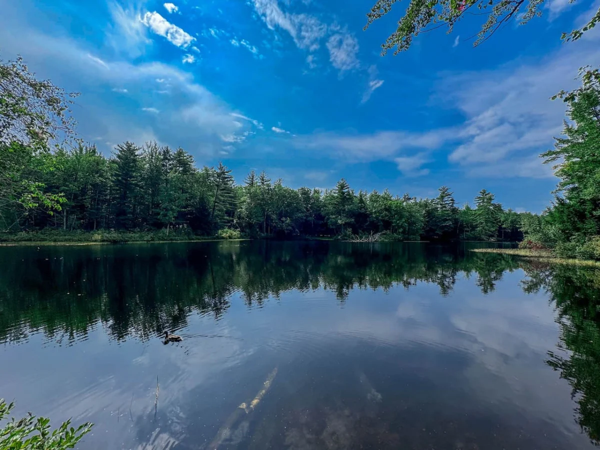 1826 Conway Renovated Church | 5 Bdrm, Pond Access #77