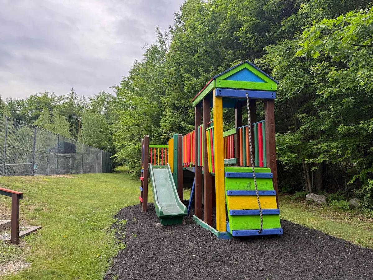 Big Moose Lodge | Brand New, Pool and Lake Access #8