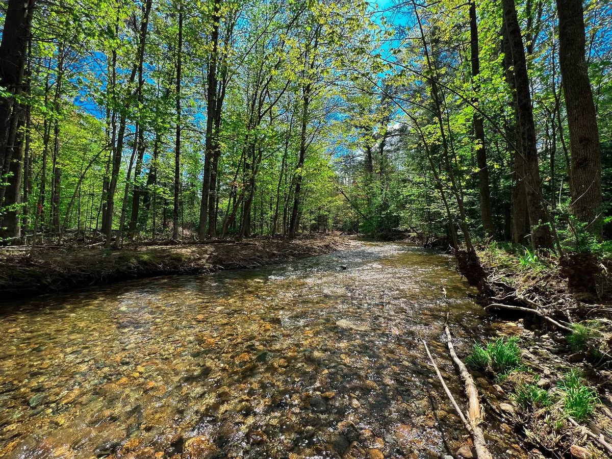 Luxe Mountain Home | River, Cranmore, Hot Tub #72