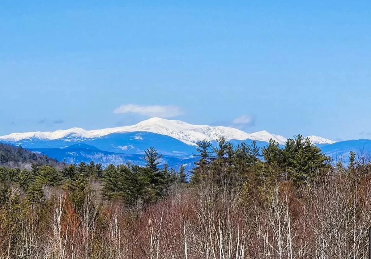 Peak View Cabin | Views | Spacious | 23 Acres #54