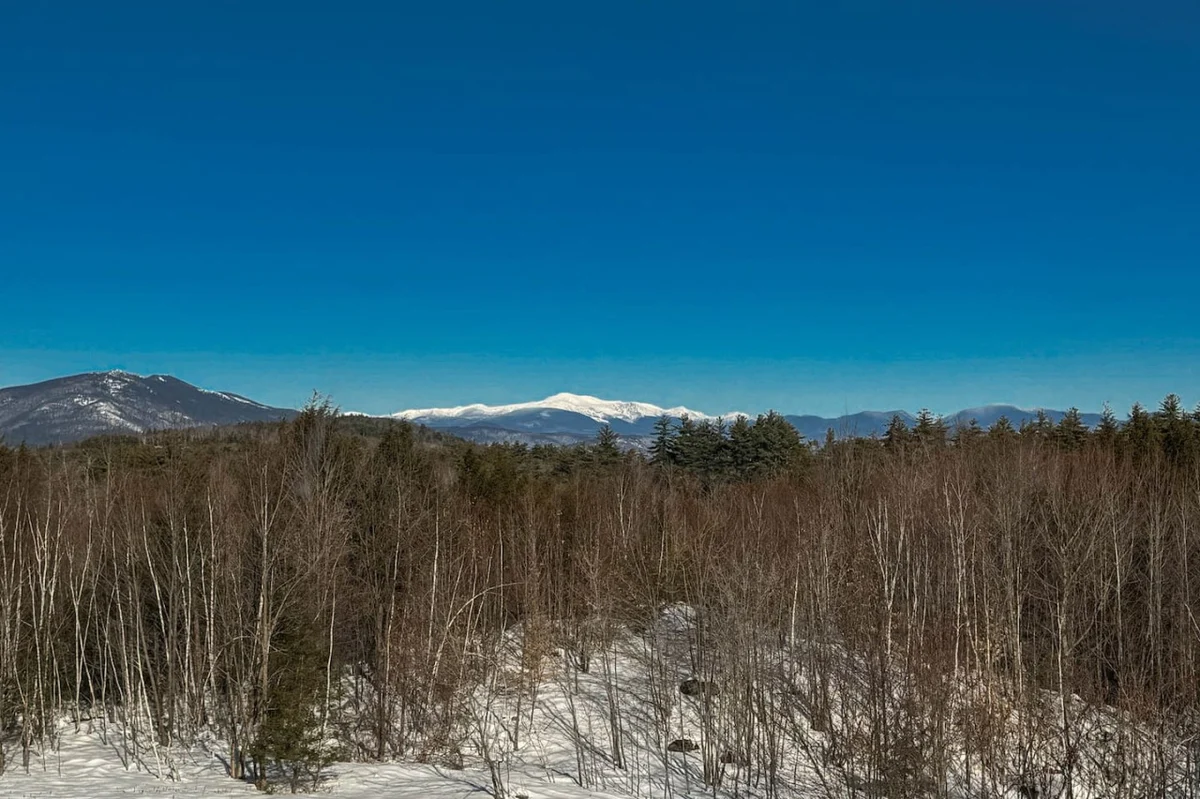 Peak View Cabin | Views | Spacious | 23 Acres #89