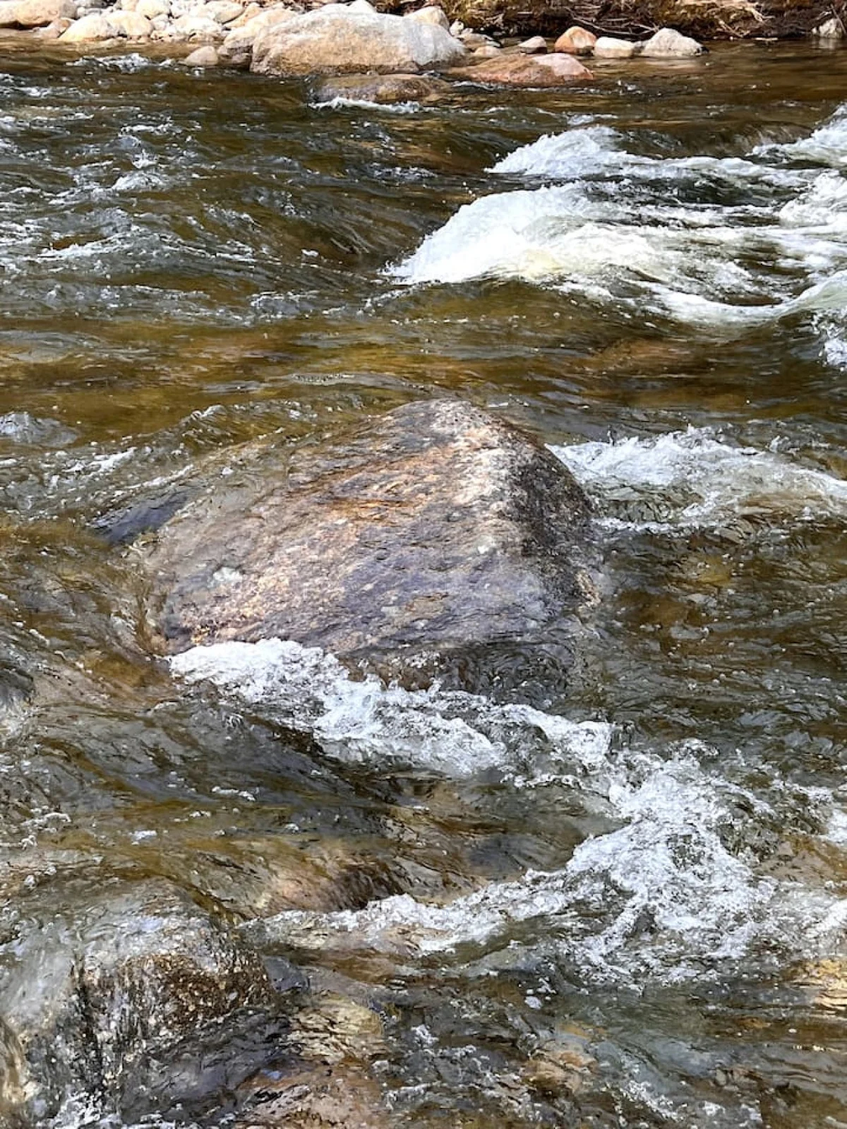 Relaxing Riverside | Minutes to Hiking + Rivers! #67