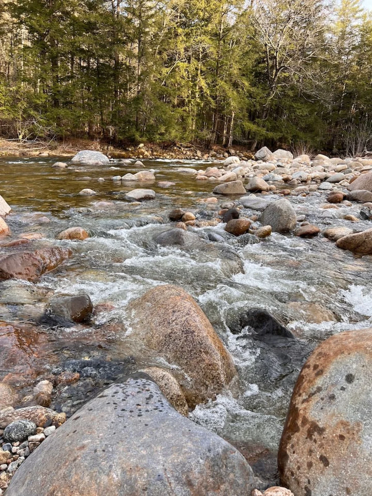Relaxing Riverside | Minutes to Hiking + Rivers! #31