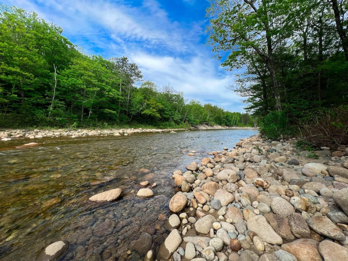 Riversbend | Private River Access, Pool, Hot Tub #73