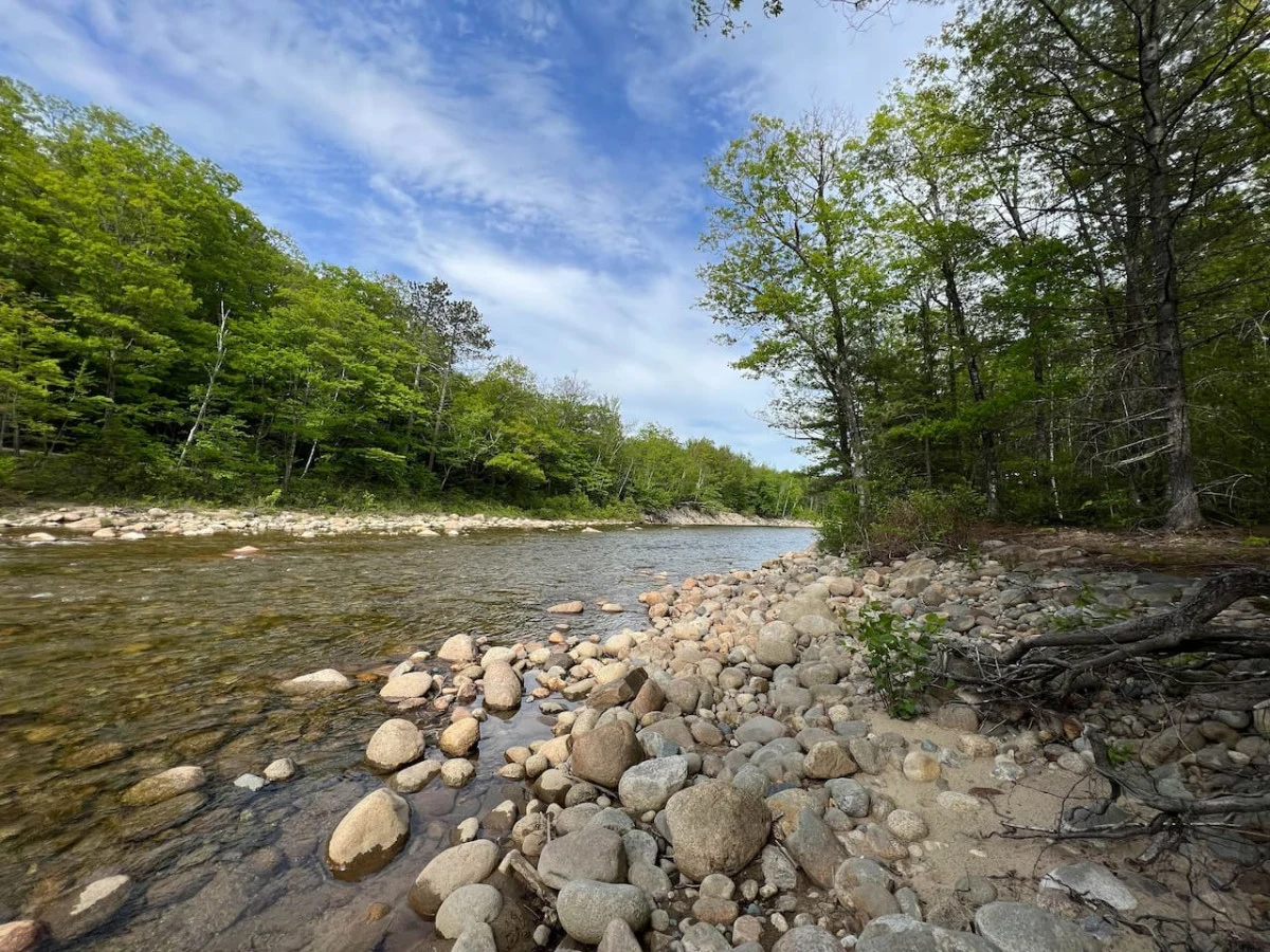 Riversbend | Private River Access, Pool, Hot Tub #119