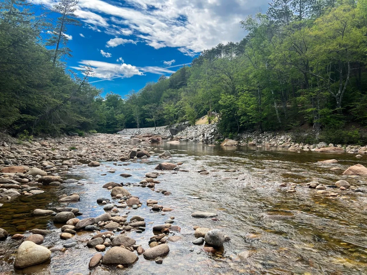 Riversbend | Private River Access, Pool, Hot Tub #74