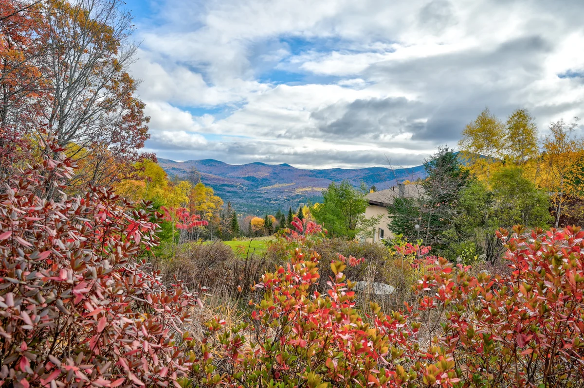Swiss Alps Chalet in Jackson | Mountain Views + AC #40